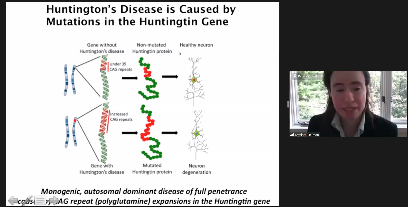 A zoom screen with the speaker on the right and a slide illustrating a schematic of a gene mutation on the left