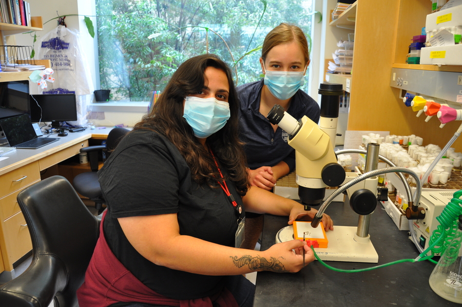 Patricia Pujols is seated at a lab bench with a microscope. Ellen Guss is leaning on the bench just behind her.