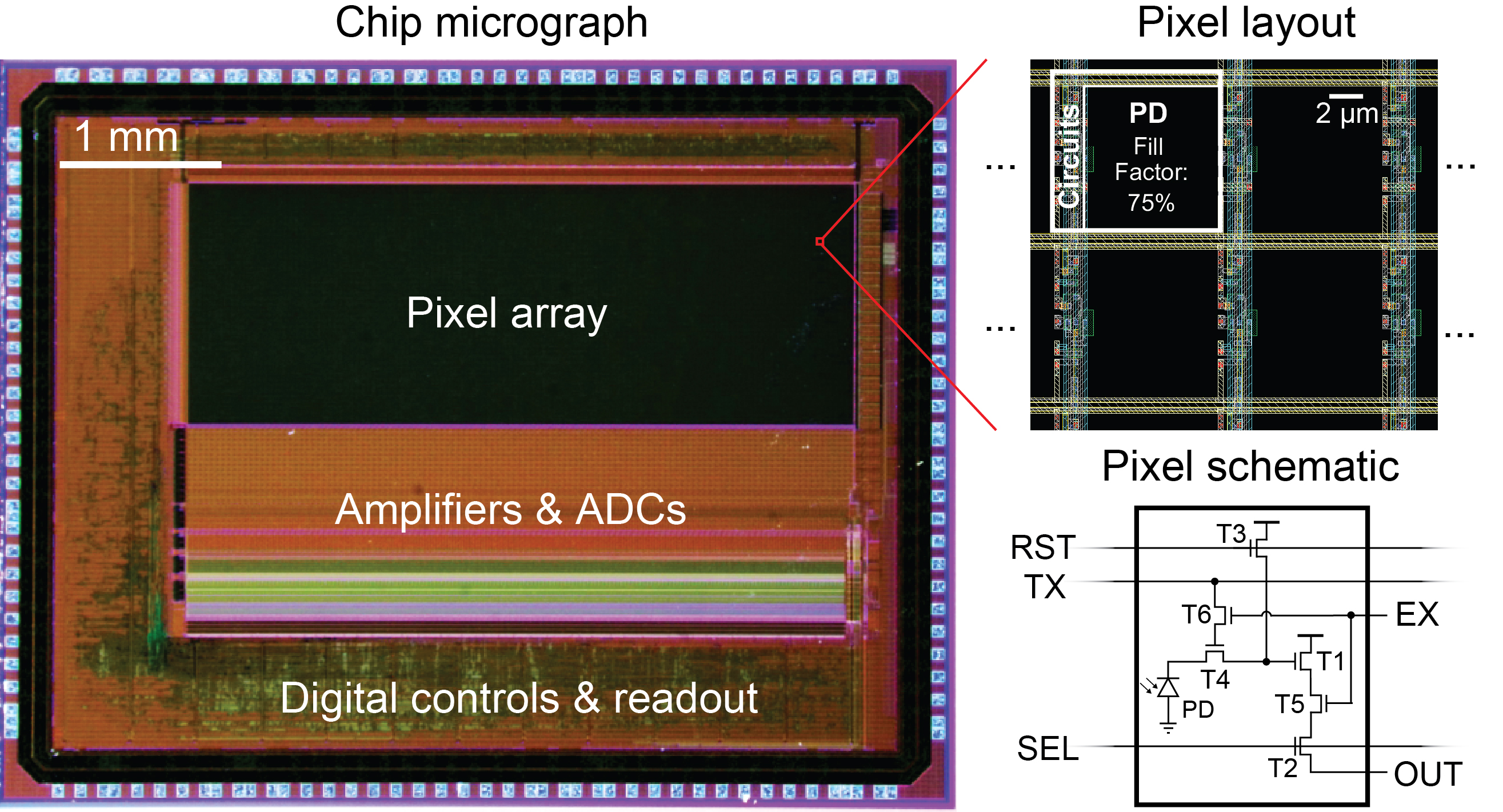 A composite of images features the whole imaging chip which includes a black rectangle in the top third labeled as the pixel area, a more orange below labeled as the amplifiers and analog digital converters and an outer area that contains the digital controls and readout. The whole chip is about 5 mm wide by 4 mm tall. An inset shows individual pixels, which are mostly a black photodiode with a thin strip on the left of smaller circuitry.  A circuit schematic shows an arrangement of six pixel transistors.