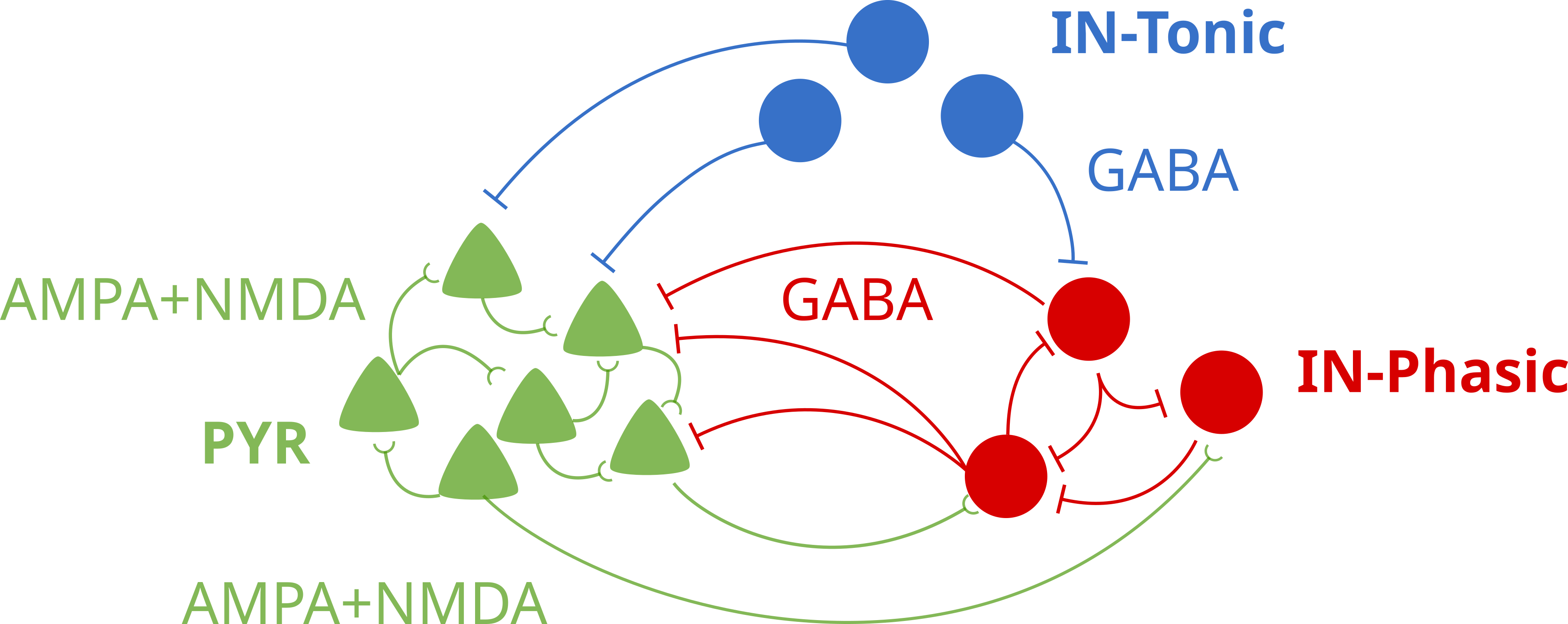 A network schematic shows the model arrangement of three different types of neurons in a cortical circuit. 