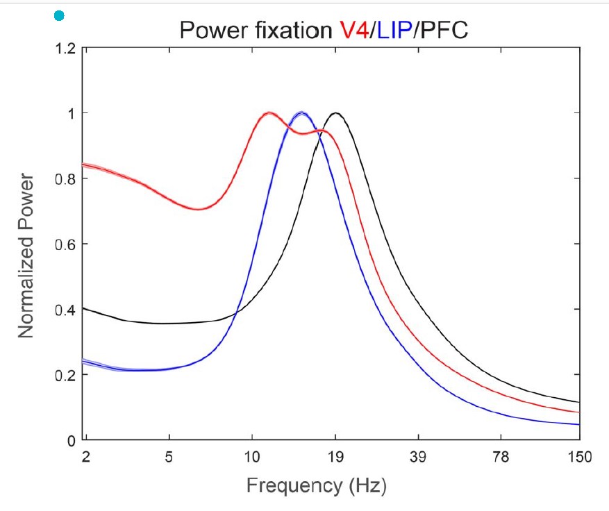 Three bell curve shaped lines on a graph - one red, one blue and one black