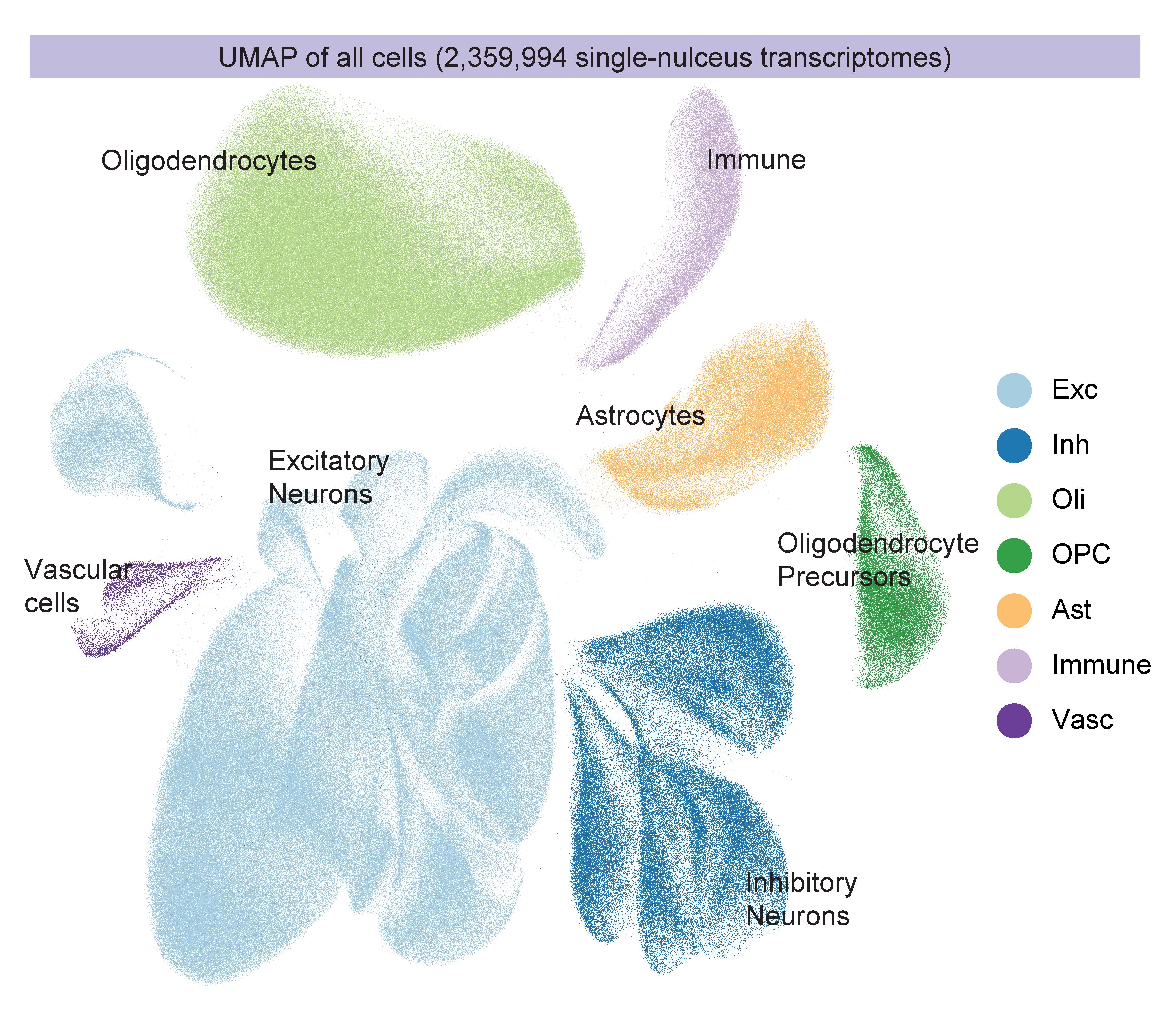 Many blobs of different colors made of tiny dots are on a white background. Each blob is labeled with the kind of cell it represents. The bigger the blob, the more of that cell in the sample. Excitatory and inhibitory neurons are the biggest blobs.