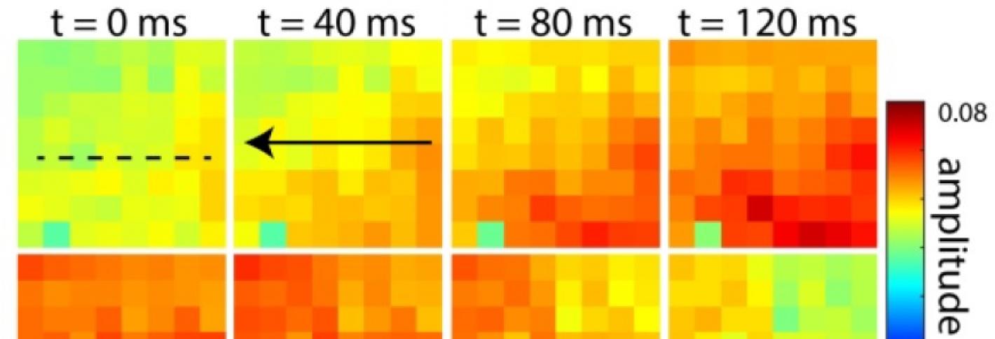 A 4 X 2 array of squares act like a comic strip showing how a traveling brain wave passes by an electrode array over the course of 280 milliseconds. The peak of the wave (which stretches from the upper right to the lower left) is indicated by red coloration.